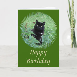 Niedliche Schwarze Katze, die auf die Geburtstagsk Karte