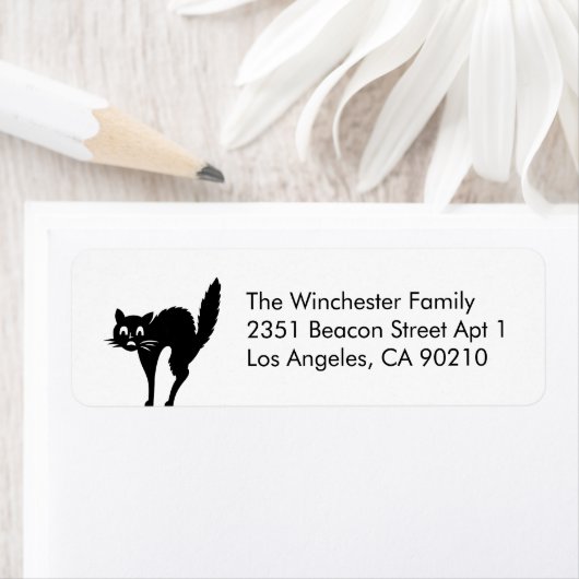 Niedliche, schwarze Katze Halloween (Insitu)