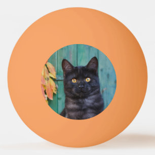 Niedliche schwarze Katze mit roten Blätter Blaue T Tischtennisball
