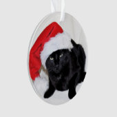 Niedliche schwarze Katze mit Weihnachtsmannmütze Ornament (Vorderseite)