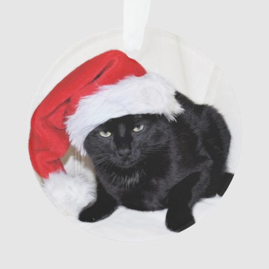 Niedliche schwarze Katze mit Weihnachtsmannmütze Ornament (Vorderseite)
