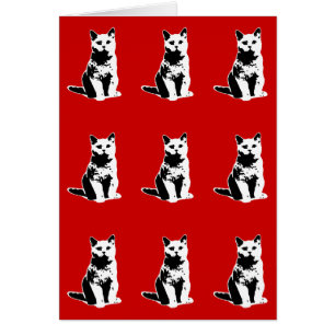 niedliche schwarze Katzen