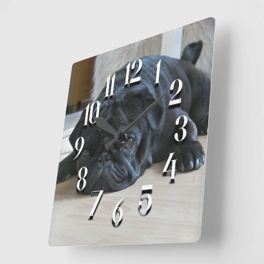 Niedliche schwarze Mops-Welpenhalterung Quadratische Wanduhr (Winkel)