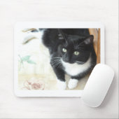 Niedliche schwarze u. weiße Katze Mousepad (Mit Mouse)
