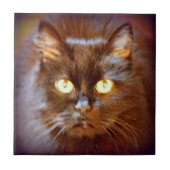 niedliche Schwarzkatze Fliese (Vorderseite)