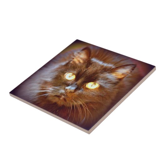 niedliche Schwarzkatze Fliese (Seite)