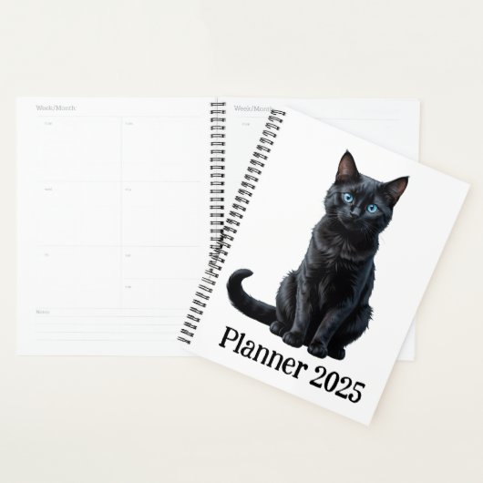Niedliche Schwarzkatze Planer (Anzeige)