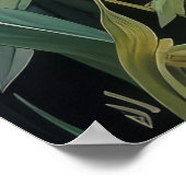 Niedliche Schwarzkatze und Blume Poster (Ecke)