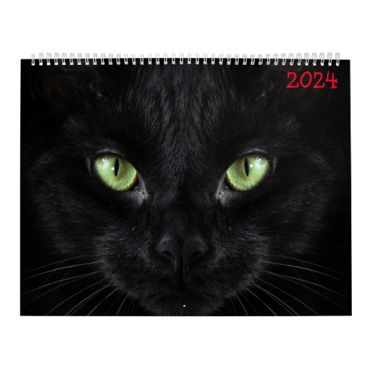 niedliche Schwarzkatzen Kalender (Titelbild)