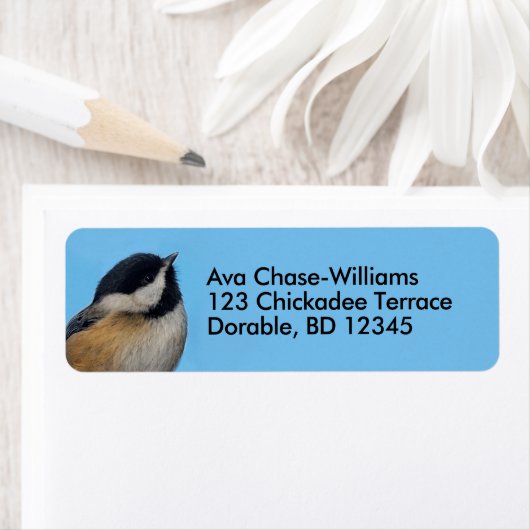 Niedliche Schwarzkichererbse auf Birnbaum (Insitu)