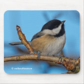 Niedliche Schwarzkichererbse auf Birnbaum Mousepad (Vorne)