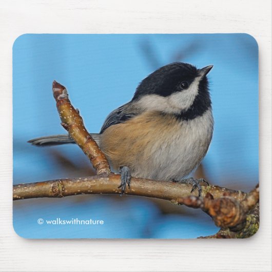 Niedliche Schwarzkichererbse auf Birnbaum Mousepad (Vorne)