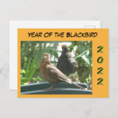 Niedliche Schwarzvögel Jahr 2022 Kust. Postkarte (Vorne/Hinten)