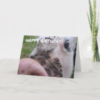 Niedliche Schwein-Geburtstags-Karte