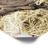 NIEDLICHE SCHWEINE FOTODRUCK (Ecke)