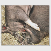 NIEDLICHE SCHWEINE GESCHENKPAPIER (Flach)