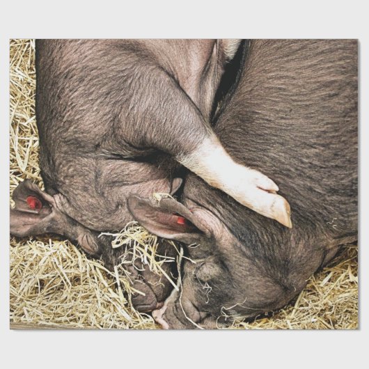 NIEDLICHE SCHWEINE GESCHENKPAPIER (Flach)