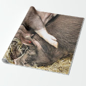 NIEDLICHE SCHWEINE GESCHENKPAPIER (Ungerollt)
