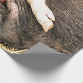 NIEDLICHE SCHWEINE GESCHENKPAPIER (Ecke)