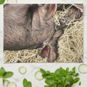 NIEDLICHE SCHWEINE GESCHIRRTUCH (Gefaltet)