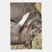 NIEDLICHE SCHWEINE GESCHIRRTUCH (Vertikal)