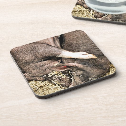 NIEDLICHE SCHWEINE GETRÄNKEUNTERSETZER (Linke Seite)