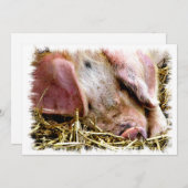 NIEDLICHE SCHWEINEINLADUNG (Vorne/Hinten)