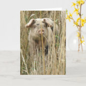 Niedliche Schweinekarte Karte (Gelbe Blume)