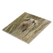 Niedliche Schweineteile Fliese (Seite)