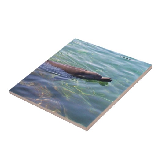 Niedliche SchwimmDolphin Fliese (Seite)