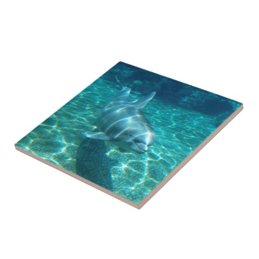 Niedliche SchwimmDolphin Fliese (Seite)