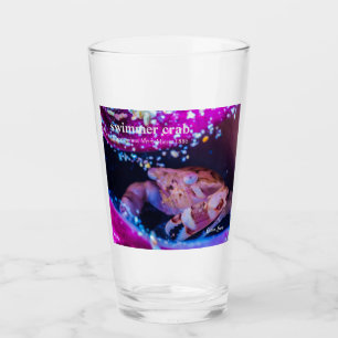 Niedliche Schwimmkrabbe im Lila Röhrenanemon Glas