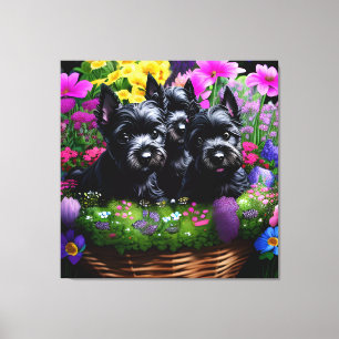 Niedliche Scottie Terrier Welpen in einem Aktionsk Leinwanddruck