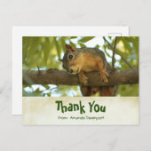 Niedliche, seltsame Eichhörnchenfotografie Postkarte (Vorne/Hinten)