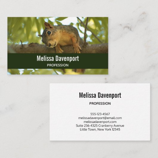 Niedliche, seltsame Eichhörnchenfotografie Visitenkarte (Vorne/Hinten)