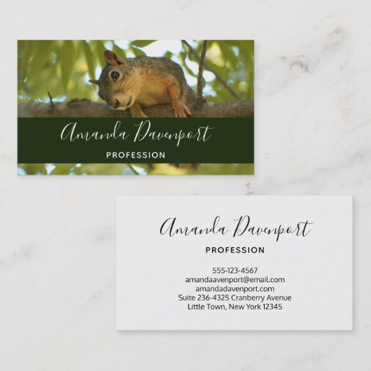 Niedliche, seltsame Eichhörnchenfotografie Visitenkarte (Vorne/Hinten)