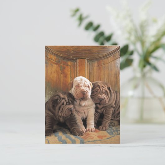Niedliche Shar Pei-Träumer Postkarte (Stehend Vorderseite)