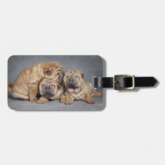 Niedliche Shar Pei Welpen Gepäckanhänger (Vorderseite horizontal)