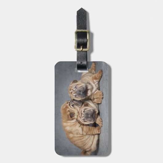 Niedliche Shar Pei Welpen Gepäckanhänger (Vorderseite vertikal)