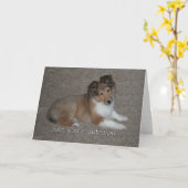 Niedliche Sheltie Geburtstagskarte Karte (Gelbe Blume)