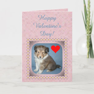 Niedliche Shetland Sheepdog Welpe Valentine's Day  Feiertagskarte