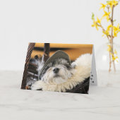 Niedliche Shih Tzu Dog Card Karte (Gelbe Blume)