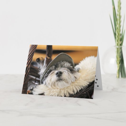 Niedliche Shih Tzu Dog Card Karte (Vorderseite)