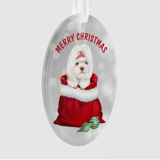 Niedliche Shih Tzu Dog Überraschung Ornament (Vorderseite)