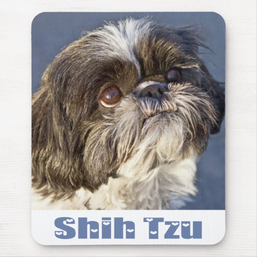 Niedliche Shih Tzu Lover Welpe Hund Mama Shihtzu Mousepad (Vorne)