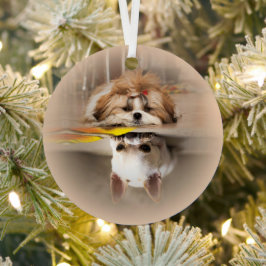 Niedliche shih tzu und chihuahua ornament aus metall