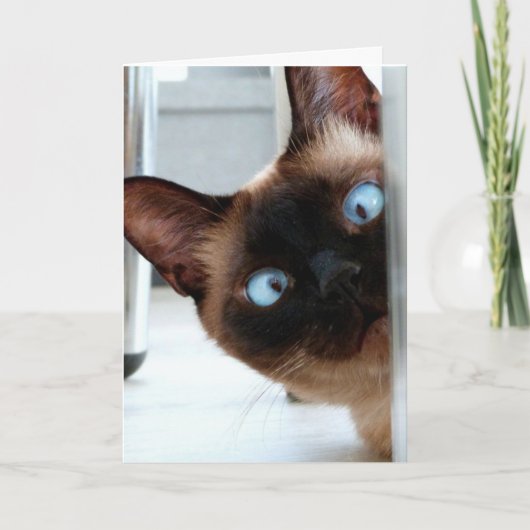 NIEDLICHE SIAMESE CAT HAPPY BIRTHDAY CARD KARTE (Vorderseite)