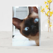 NIEDLICHE SIAMESE CAT HAPPY BIRTHDAY CARD KARTE (Gelbe Blume)