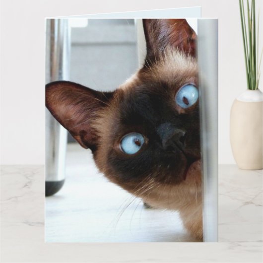 NIEDLICHE SIAMESE CAT PEEKING GLÜCKLICH GEBURTSTAG KARTE (Vorderseite)