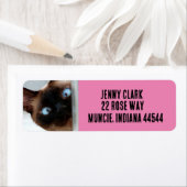 NIEDLICHE SIAMESISCHE CAT PEEKING-RÜCKSENDEADRESSE (Insitu)